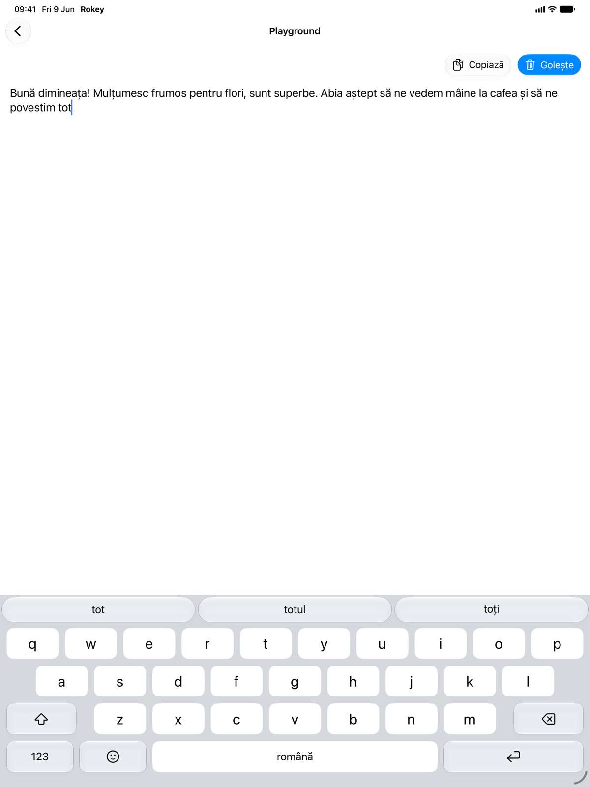 Rokey pe iPad